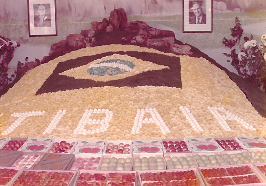 1ª Festa de Flores e Morangos de Atibaia em 1984