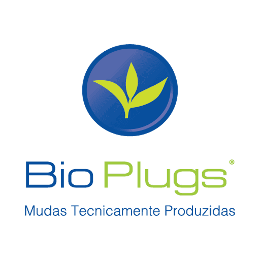 BioPlugs — Mudas Tecnicamente Produzidas